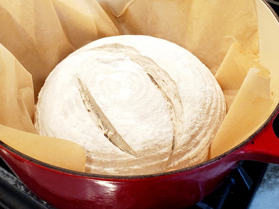 A scored loaf going into a cast iron pot lined with parchment