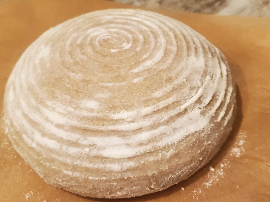 A shaped round of dough resting in a floured banneton