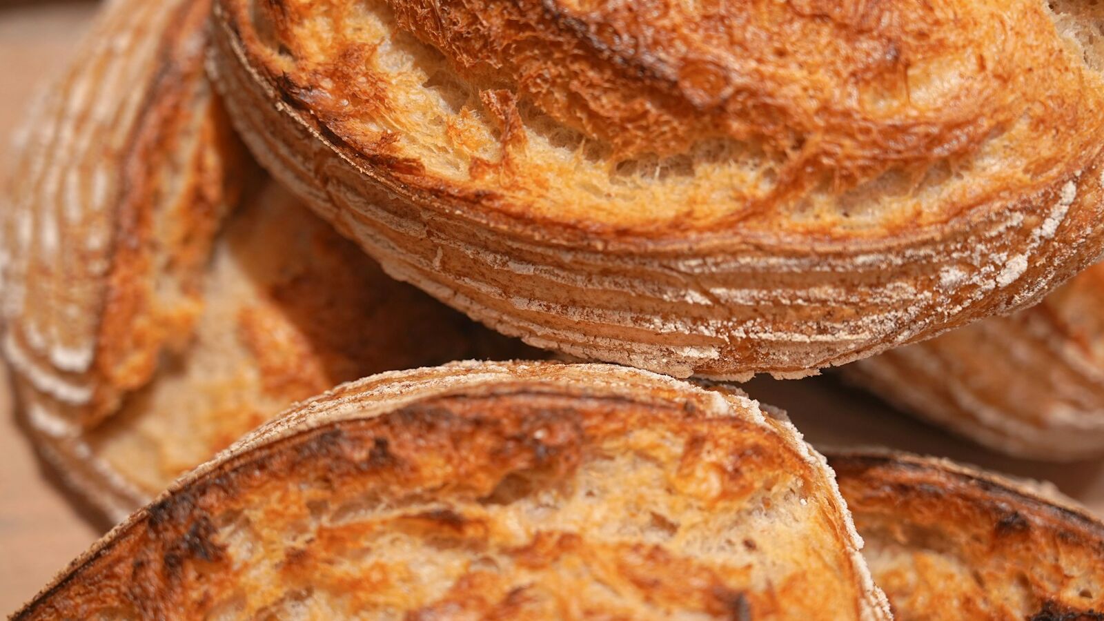 Loaves of sourdough cooling, crusts blistered and golden